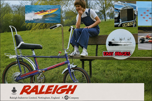 The new raleigh - the,