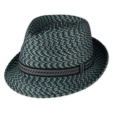 Bailey Hats Mannes Trilby Hat