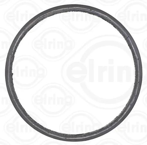 Exhaust pipe gasket - , 738.390