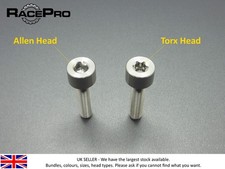 Pair (2x) Titanium Bolt M6