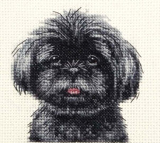 BLACK SHIH TZU puppy dog Full
