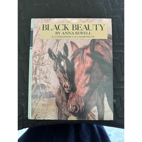 Black beauty longmeadow - -,
