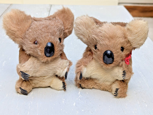 Vintage 1960s koala bear - vintage,