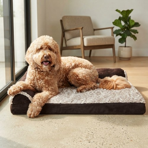 Large orthopedic dog - orthopedic,