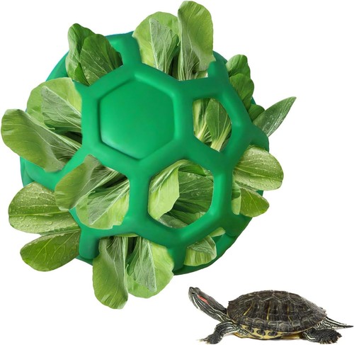 Tortoise treat ball - treat, ball,