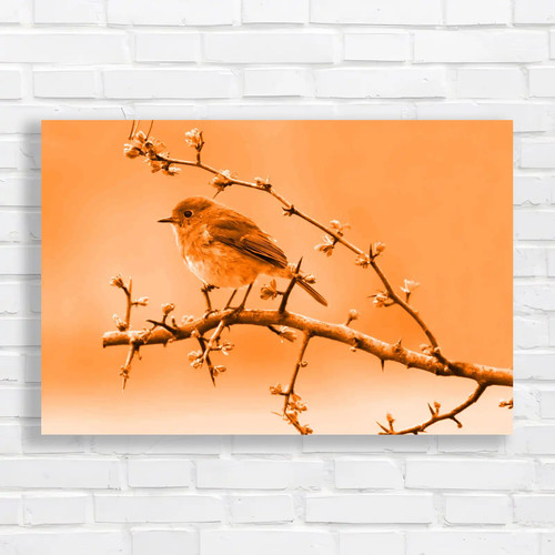 Robins spring hawthorn - in, tree