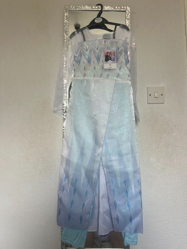 Frozen elsa costume - costume, with