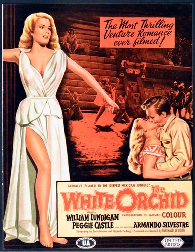 White orchid 1954 william - white,