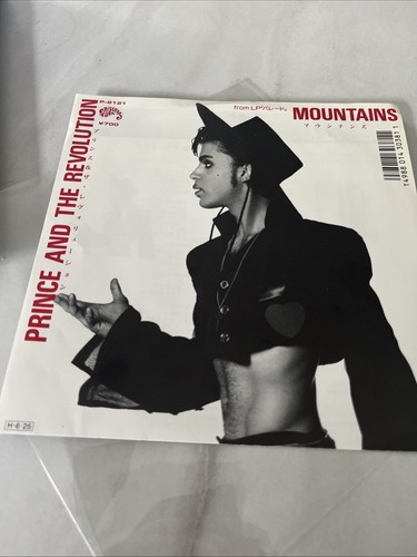 Prince and the revolution - prince,