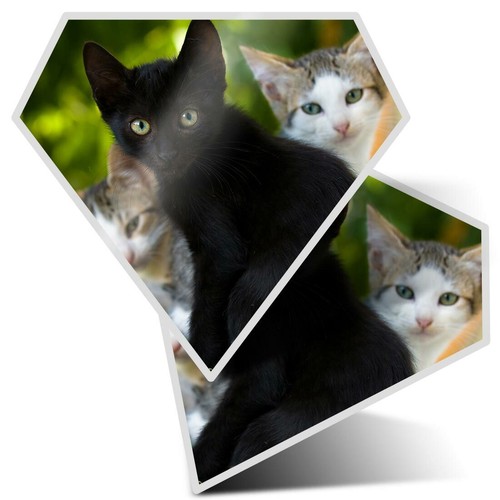 Diamond stickers cm - x,