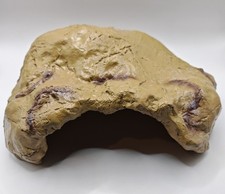 reptile hides and caves