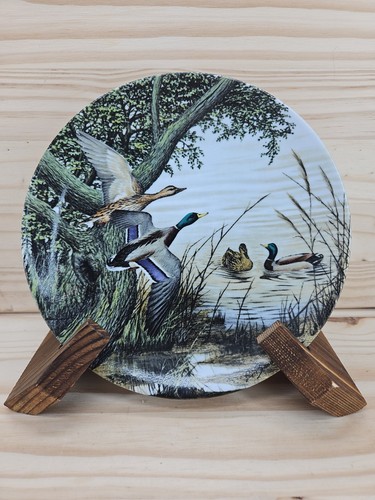 Royal worcester plate ducks - worcester,