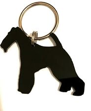 Wire Haired Fox Terrier Dog