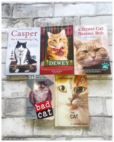 Cat lover books dewey casper - dewey,