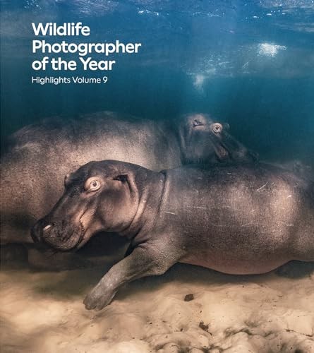 Wildlife photographer the - photographer, of