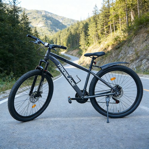 Adult mountain bike front - adult,