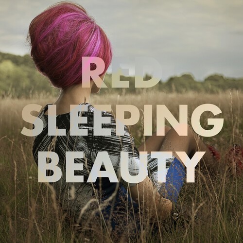 Red sleeping beauty diary - sleeping,