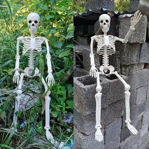 1pc halloween skeleton - halloween,