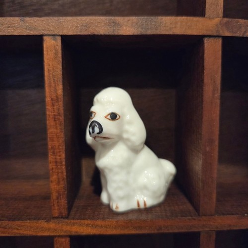Vintage miniature white - white, poodle
