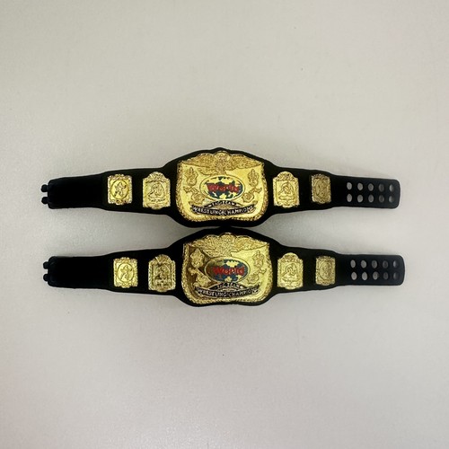 Classic elite tag team - classic, title