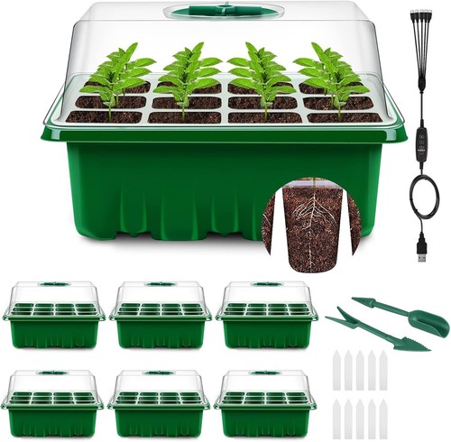 Plant propagator seed tray set - plant,