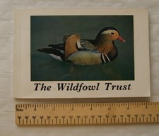 1968 The Wildfowl Trust, Slimbridge.  An introduction to the Collection & work