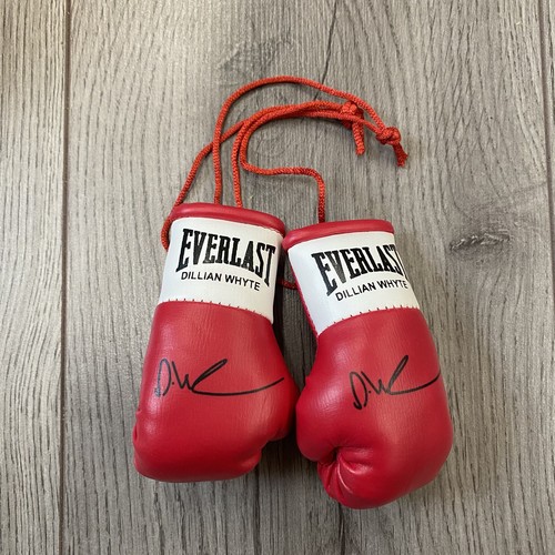Dillian whyte mini - dillian,