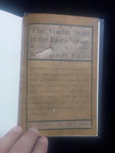 1917 the gaelic state - 1917,