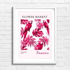 Colorful Macaw Parrots Amidst