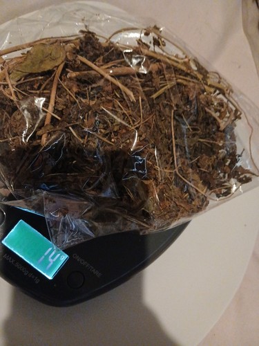 Organic herbs ewe - herbs, omisimisi