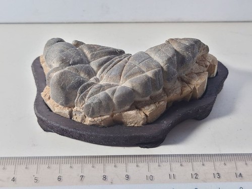 Japanese suiseki stone - suiseki,