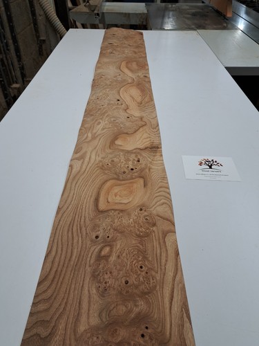 Burr elm wood veneer - elm,