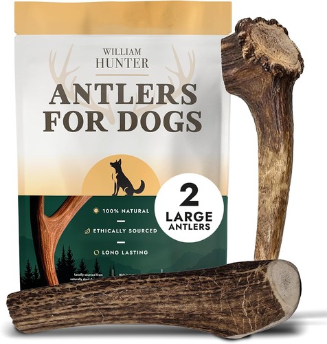 William hunter deer antlers - william,