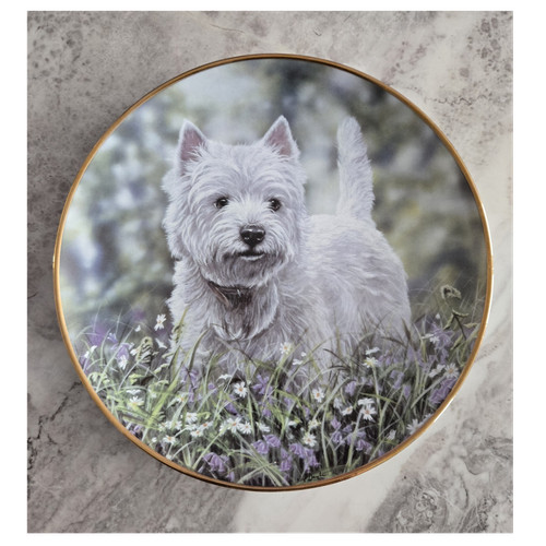 Danbury mint the bluebell - the,