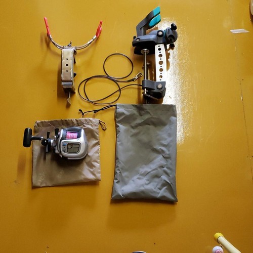 Electric reel