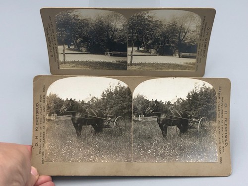 Antique minnesota horse - antique,