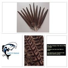 Pheasant Tail Feathers Hen