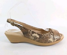 M & S Footglove Snake Print