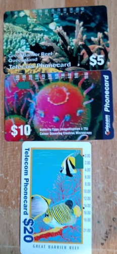Marine life phonecards 2 - life, of
