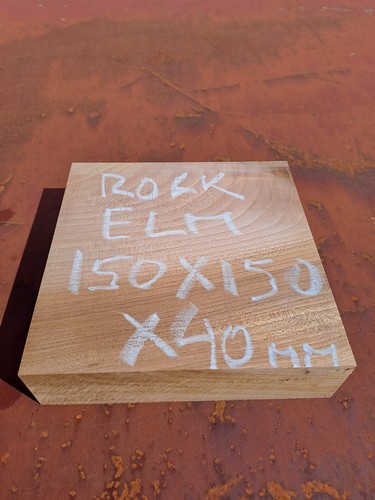 Rock elm wood blank - ,
