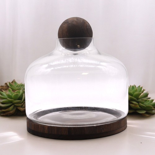 Extra large glass ball top - extra,
