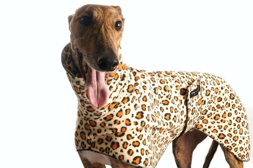 Greyhound whippet iggy - greyhound/whippet/iggy, fleece