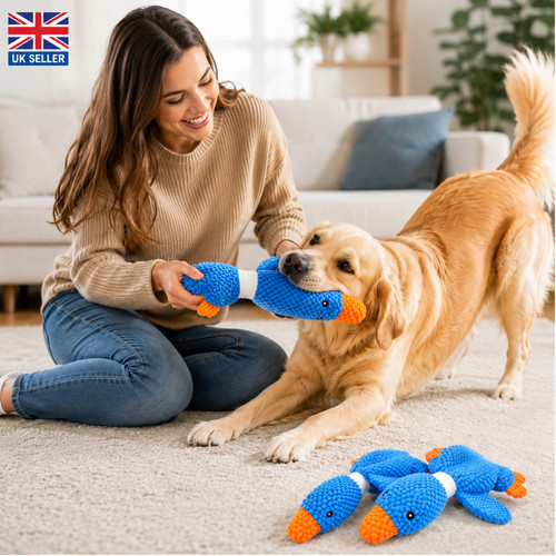 Pet dog chew toys - dog,