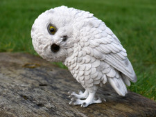 White Owl Garden Ornament Statue Fast Shipping Outdoor Decor