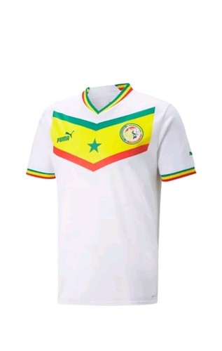 2024 african cup senegal - african,