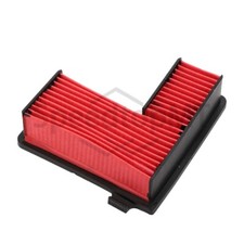 Air Intake Filter Cleaner