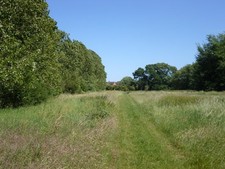 Photo 6x4 Path towards Wise