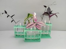 Mint Plant Propagation Stations + Tubes for Rooting Cuttings in different sizes