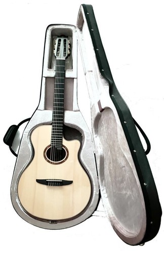 Yamaha ntx5 electric - ntx5,