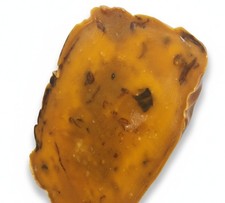 Solid perfume musk ambergris